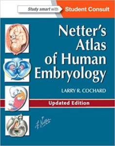 netter atlas of human embryology pdf