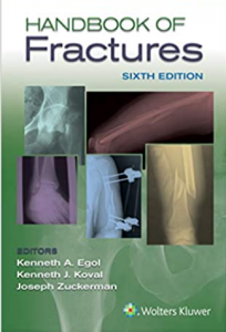 Download Handbook of Fractures pdf