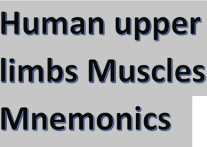 Human upper limbs Muscles Mnemonics