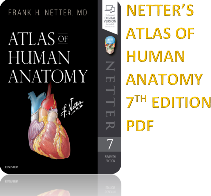 pathology illustrated pdf free download