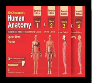 BD Chauarsia Human Anatomy pdf