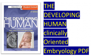 klm embryology pdf