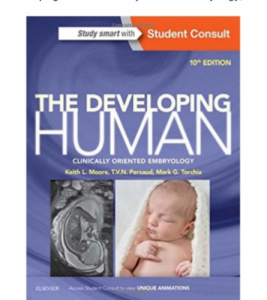 klm human embryology pdf