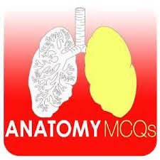 Anatomy-mcqs-pdf