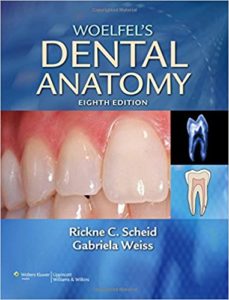 woelfel dental anatomy pdf