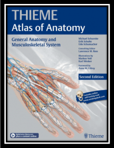 thieme atlas of anatomy pdf