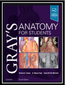 gray's anatomy for students pdf