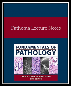 pathoma lectures notes pdf