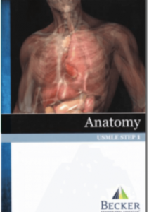 usmle step 1 anatomy pdf
