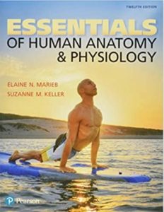Essentials of Anatomy and Physiology 12th Edition PDF
