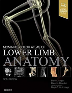 McMinn’s Color Atlas of Lower Limb Anatomy PDF