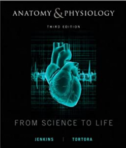 Anatomy and Physiology From Science to Life PDF
