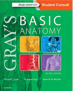Gray’s Basic Anatomy PDF