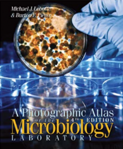 A Photographic Atlas for the Microbiology Laboratory PDF