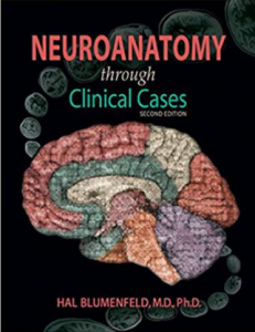 Neuroanatomy through Clinical Cases 2nd Edition PDF