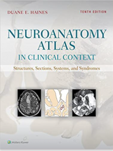 Neuroanatomy Atlas in Clinical Context 10th Edition PDF