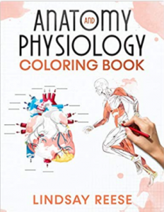 Anatomy and Physiology coloring Book PDF