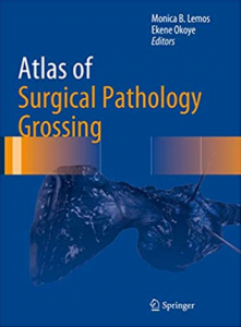 Download Atlas of Surgical Pathology Grossing PDF