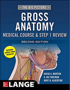The Big Picture Gross Anatomy Medical Course & Step 1 Review 2nd Edition PDF Free