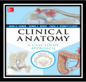 Clinical Anatomy A Case Study Approach PDF