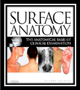 Surface Anatomy The Anatomical Basis of Clinical Examination 4th Edition PDF