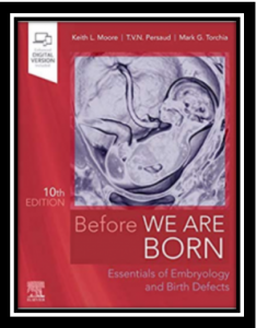 Before We Are Born Essentials of Embryology and Birth Defects 10th Edition PDF