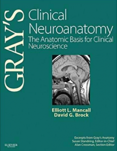Download Gray's Clinical Neuroanatomy The Anatomic Basis for Clinical Neuroscience PDF