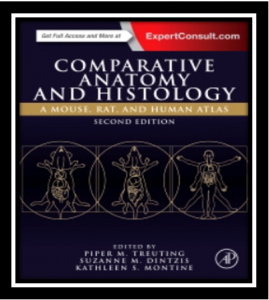 Comparative Anatomy and Histology PDF