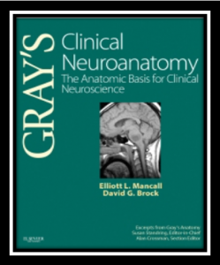 Download Gray's Clinical Neuroanatomy The Anatomic Basis for Clinical Neuroscience PDF