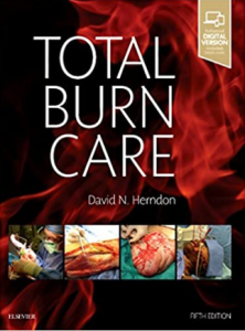 Download Total Burn Care PDF 