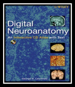 Digital Neuroanatomy An Interactive CD Atlas with Text PDF