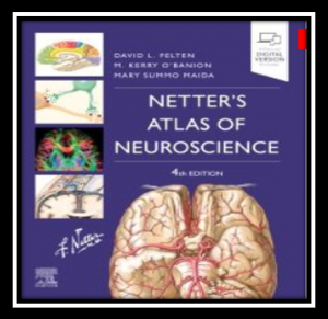 Download Netter's Atlas of Neuroscience PDF