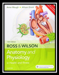 Rose & Wilson Anatomy and Physiology 