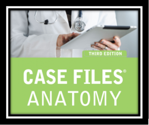 Case File Anatomy PDF