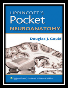 Lippincott Pocket Neuroanatomy PDF