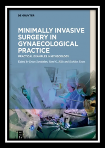 Minimally Invasive Surgery in Gynaecological Practice: Practical Examples in Gynecology PDF