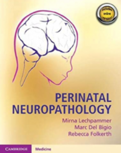 Perinatal Neuropathology PDF