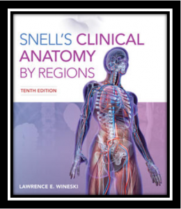 Snell's Clinical Anatomy By Region 10th Edition PDF