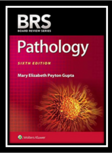 BRS Pathology 6th Edition PDF