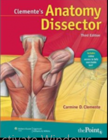 Clement's Anatomy Dissector