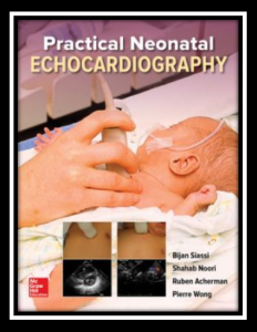 Practical Neonatal Echocardiography PDF