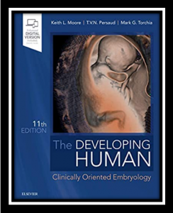 The Developing Human Clinical Oriented Embryology