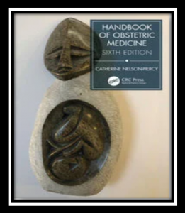 Handbook of Obstetric Medicine 6th Edition PDF