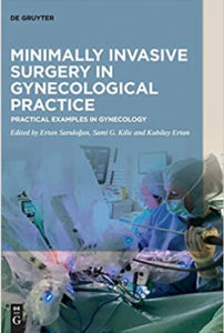 Download Minimally Invasive Surgery in Gynaecological Practice: Practical Examples in Gynecology PDF Free