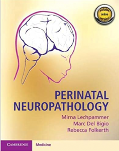 Download Perinatal Neuropathology PDF Free