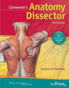 anatomy dissector pdf