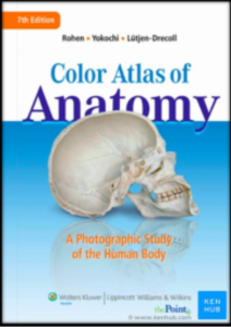 color atlas of anatomy