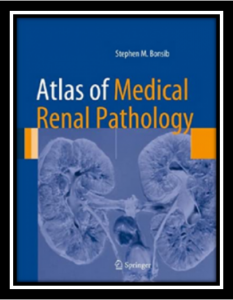 Atlas of Medical Renal Pathology PDF
