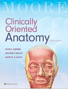 moore's clinically oriented anatomy 8th edition pdf