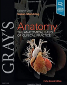 Gray’s Anatomy: The Anatomical Basis Of Clinical Practice PDF